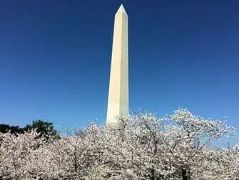 Passeio de ônibus para Washington - Monumento